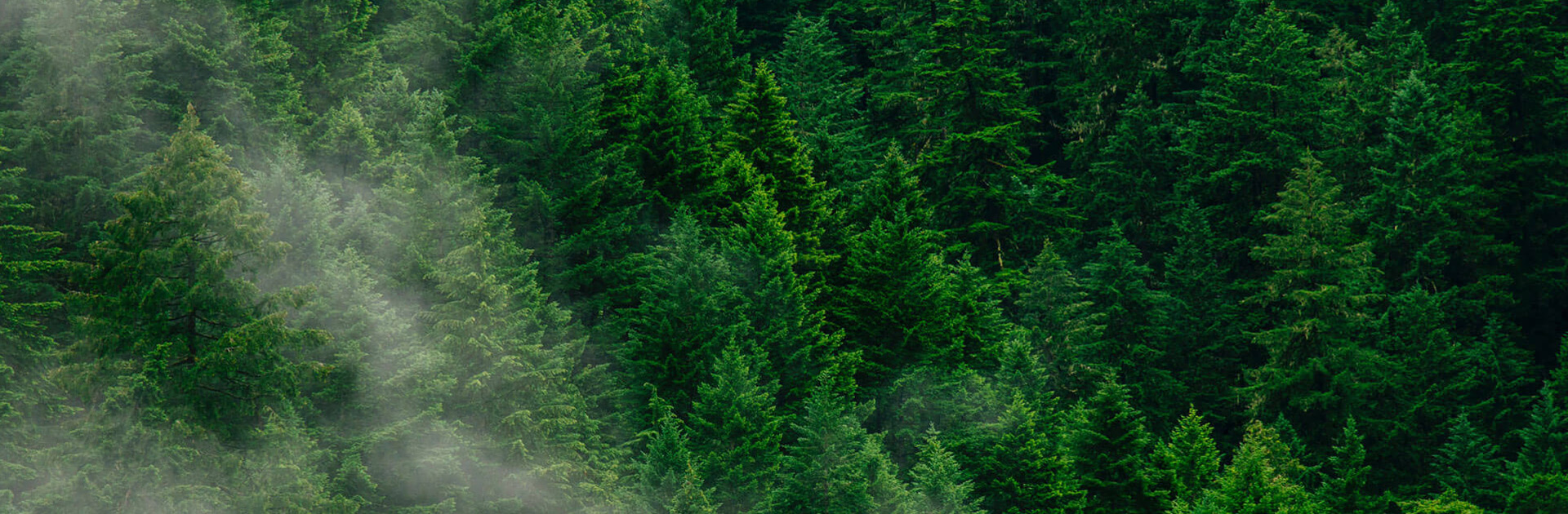 80144503f0ba15ef5e2b1d95a576277a