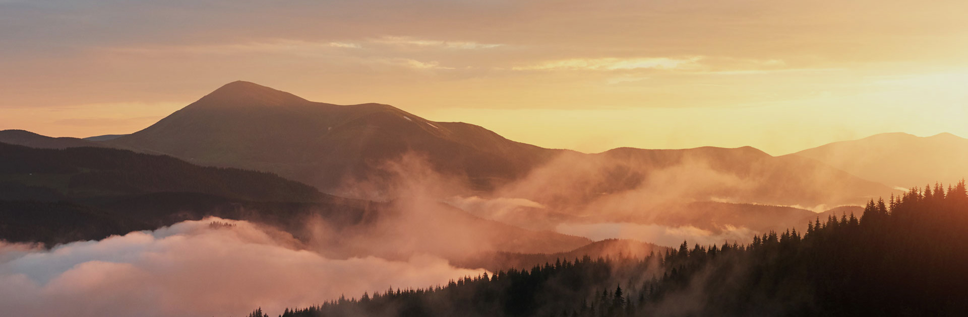 a02cf1c8af51a442c78c24ad608d1cd7