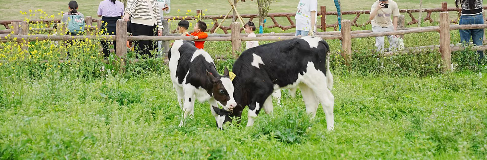 05f7c3aeb401c52ba384efc752454000